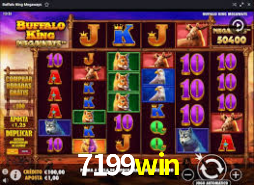 Interface Premium 7199win